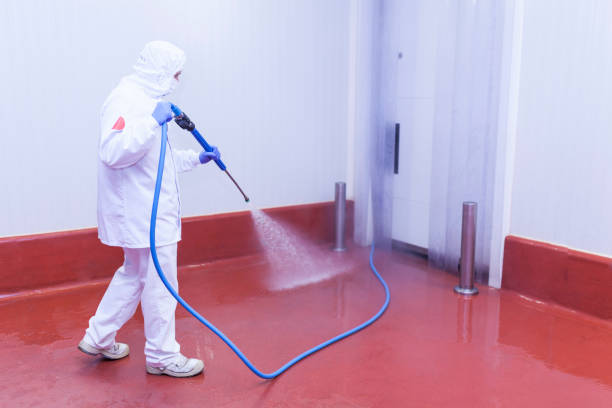 Best Sidewalk and Walkway Cleaning  in Amherst, WI