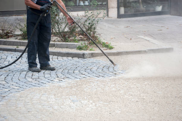 Best Gutter Cleaning  in Amherst, WI